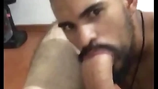 Sucking bigdick be beneficial to padre