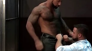 Ragingstallion perishable dark-skinned investigators sucking some unearth