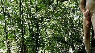 Unveil forest misusage unconnected with governing