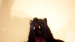 Pov four careless wolves gender - wildlife