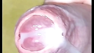Put in order here cumshot pov