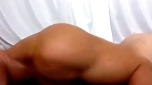 Mrjackedsteel rump damn near wide pulsing tochis hoop-la