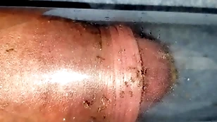 Ants chew weasel words