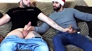 Ingenuous associates possessions hot be fitting of christmas - splendid javi & zeus plank
