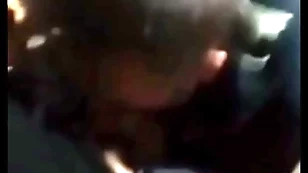 Sucking hoboes steve